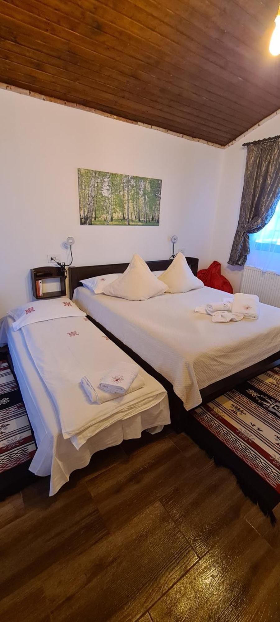 Cabana Bujor De Munte Рышнов Экстерьер фото
